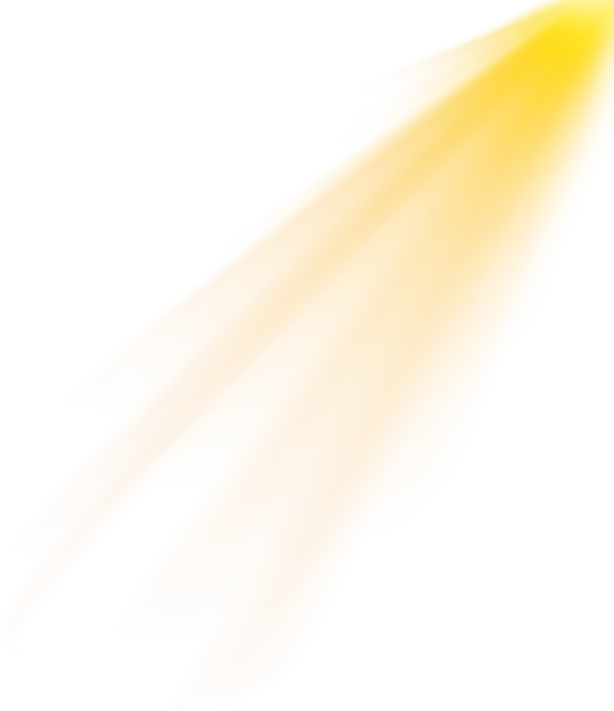 Sunny Rays